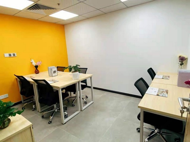 北京新新阳光玫瑰葡萄苗